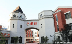 其运营模式被纳入《市养老办事立异实践
